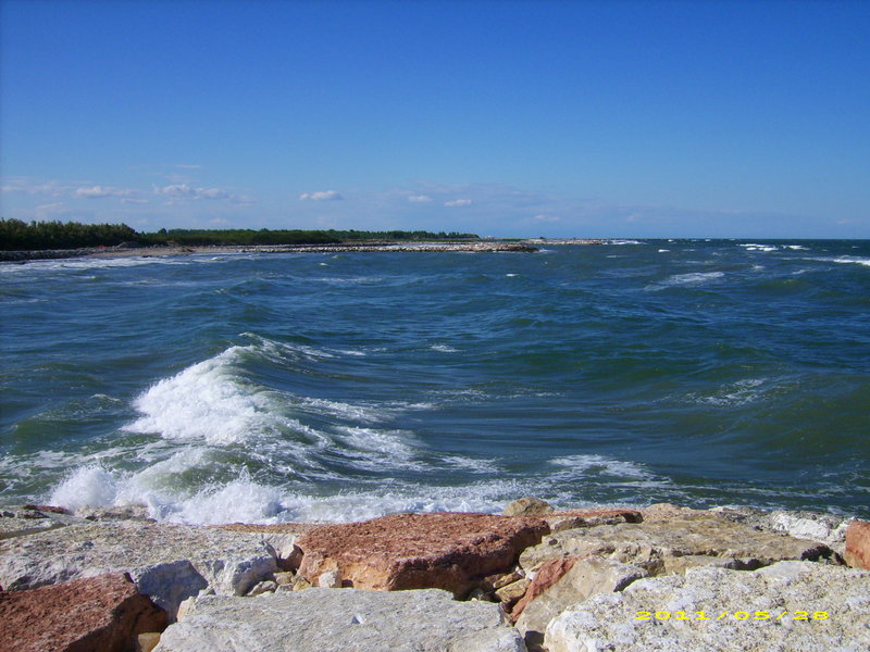 DSCI0049.JPG