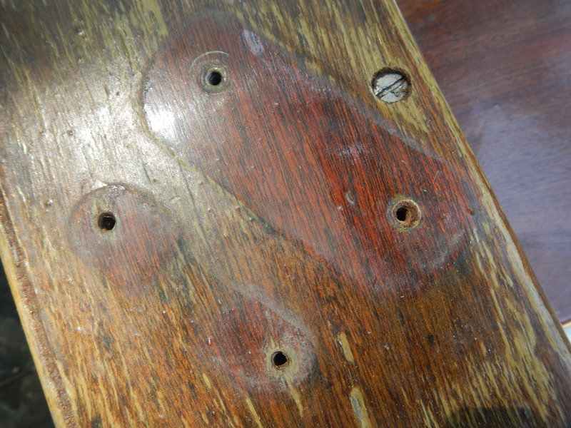 DSCN5825.JPG