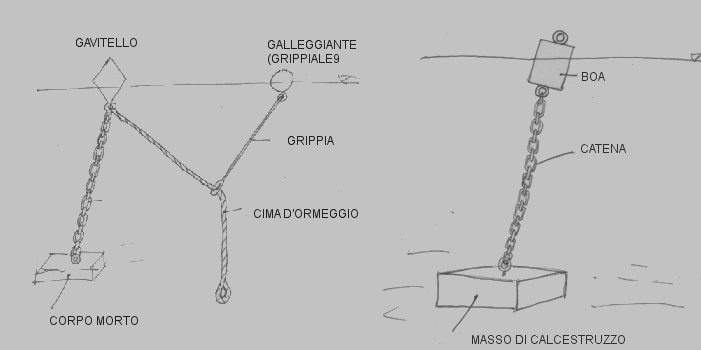 gavitello2.gif