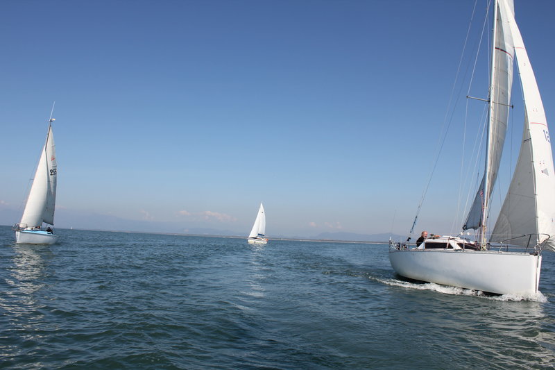 IMG_8734.JPG