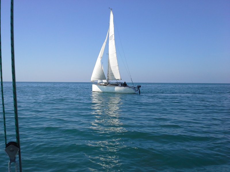 cocò.jpg