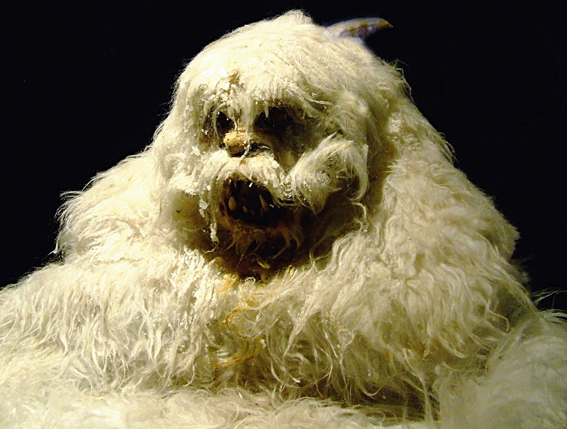 Wampa.jpg
