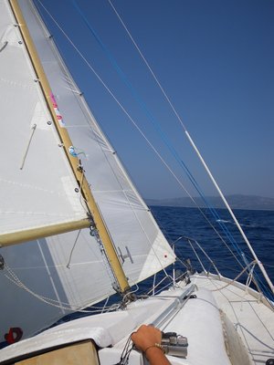 IMGP0549.jpg