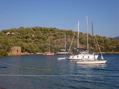 IMGP0784.jpg