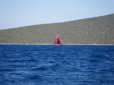 IMGP0775.jpg