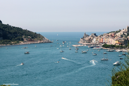 img_0990f[1].jpg