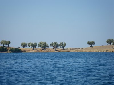 IMGP0819.jpg