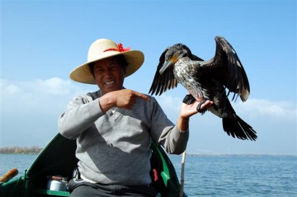 cormorano[1].jpg
