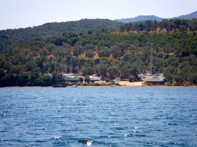 IMGP0815.jpg