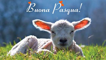 buona-pasqua.jpg