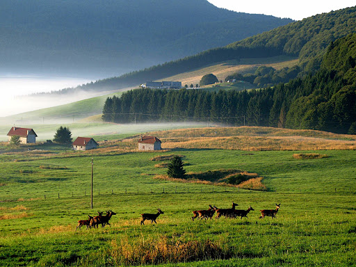 davanti al rifugio.JPG