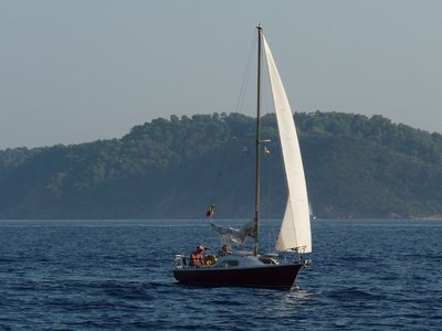 P1020526.jpg